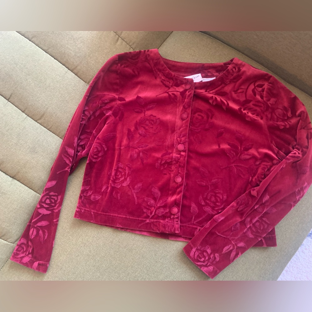 Moving Sale: Vintage Roses Velvet Cardigan / Jacket / Top